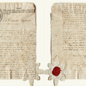 Patente de corso en favor de “Estrella del Sud”, diciembre 1816